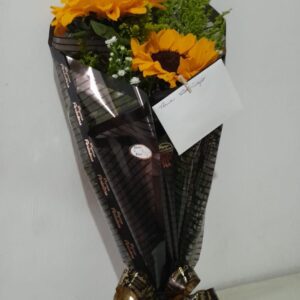 2 GIRASSÓIS EMBALADO