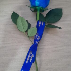 BOTÃO AZUL SEM EMBALAGEM